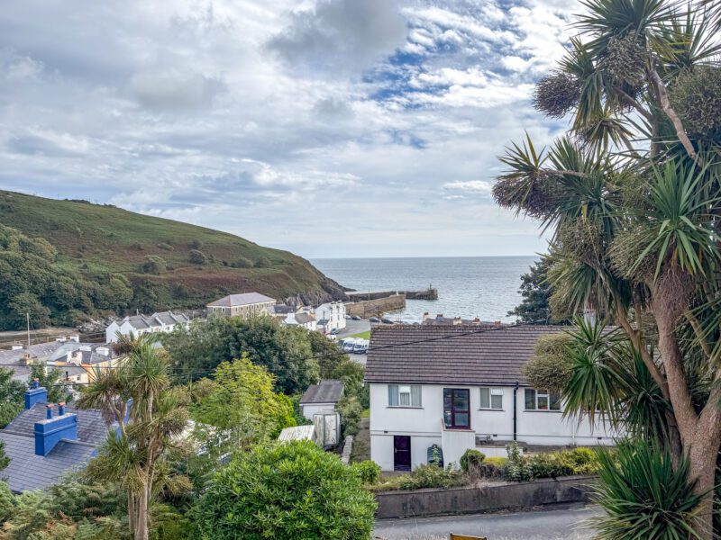 Narrowgate House, Old Laxey Hill, Laxey, photograph 20