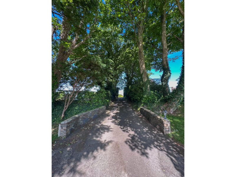 Close Chirrym, Sulby, photograph 51