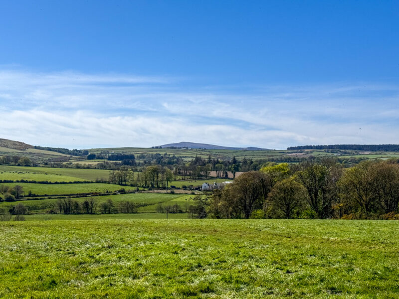 Cormin, Main Road, Glen Vine, photograph 16