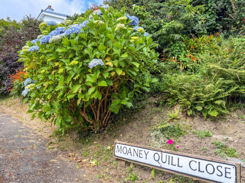 5 Moaney Quill Close, Lonan, photograph 31