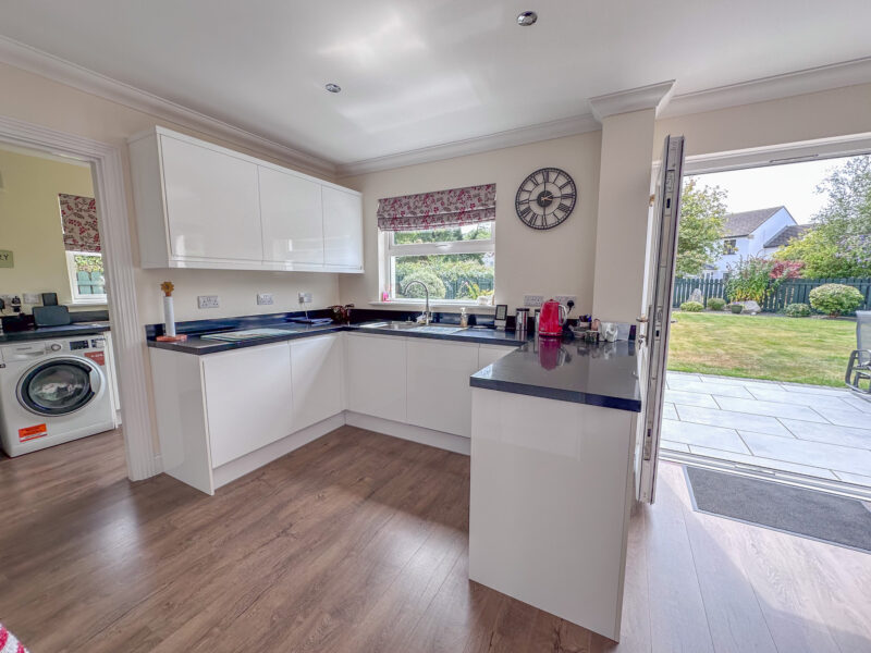 20 Glebe Aalin, Ballaugh, photograph 10