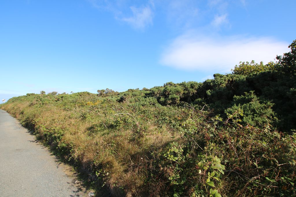 Parcels of Land, Cregneash, Port St Mary