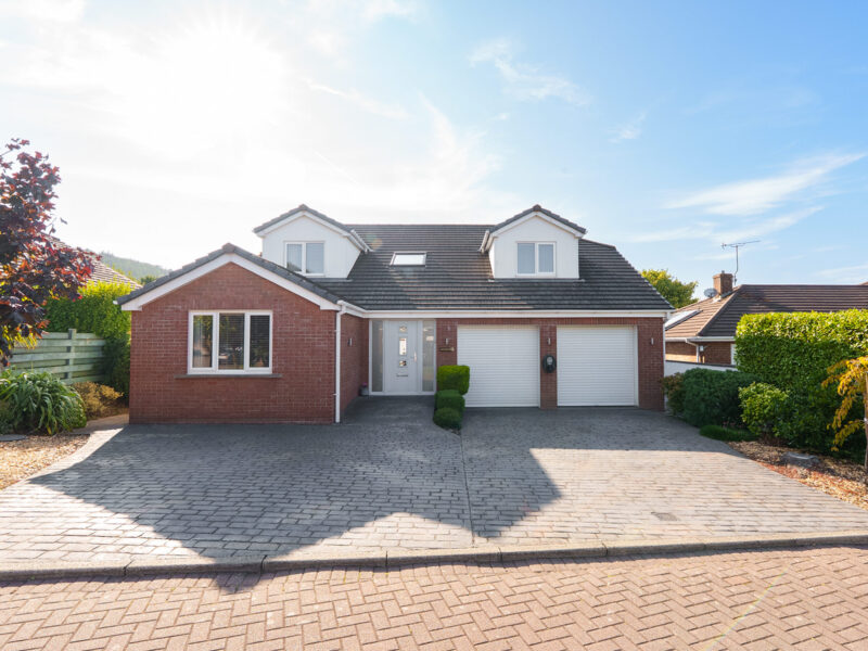 Mannin Veen, Barrule Park, Ramsey, photograph 44
